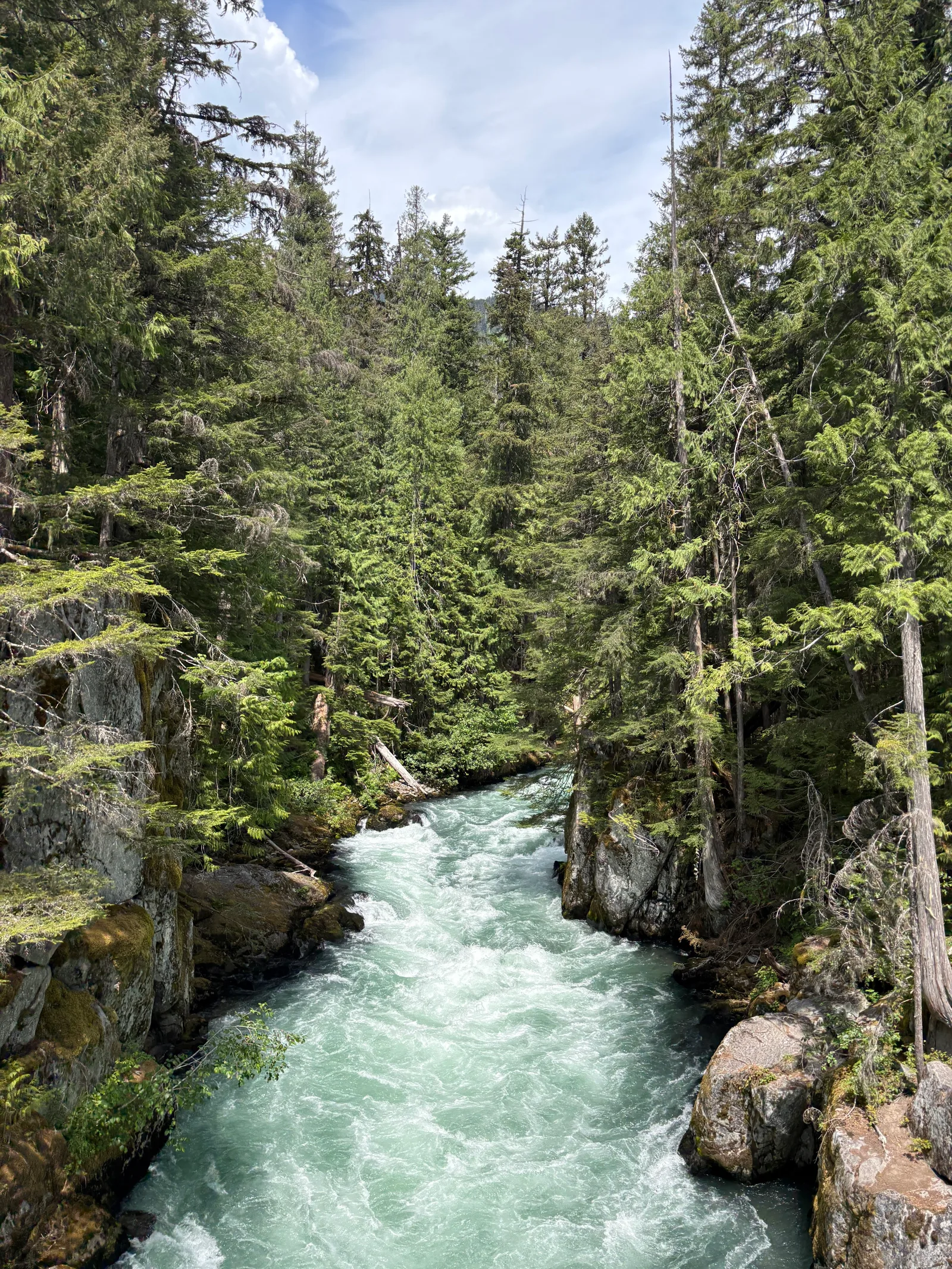Fast-moving turquoise glacial river rushing between large boulders, framed by dense forest