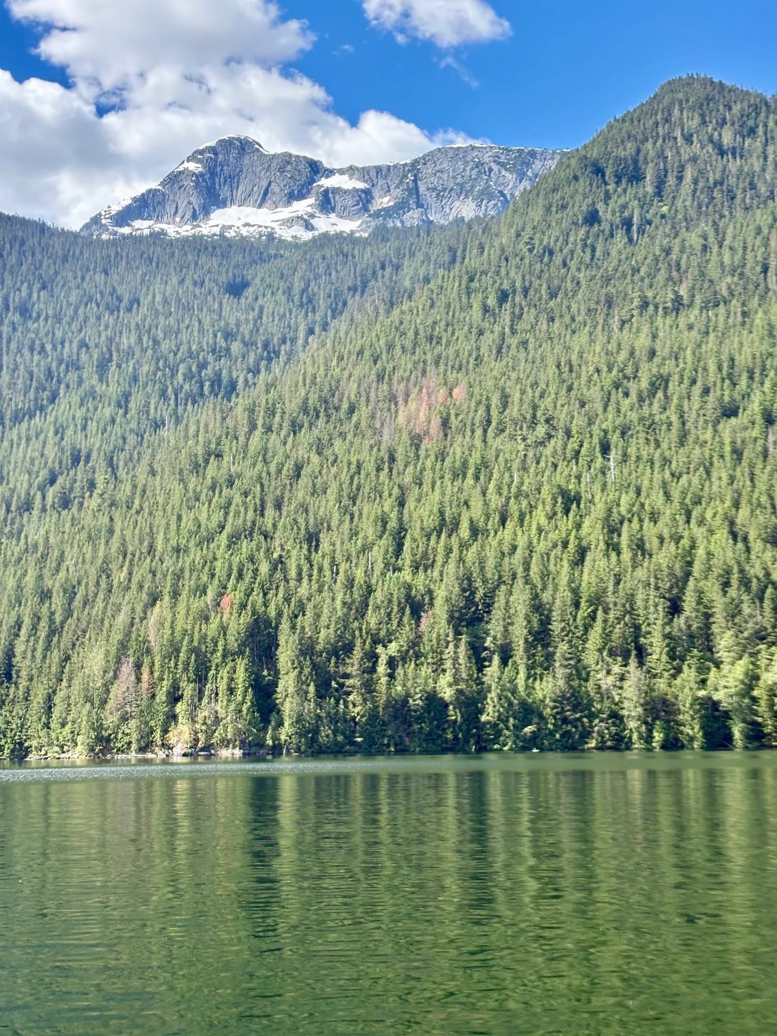 Forested mountainside dropping straight into Chilliwack Lake, with a snow-covered summit rising above the tree line