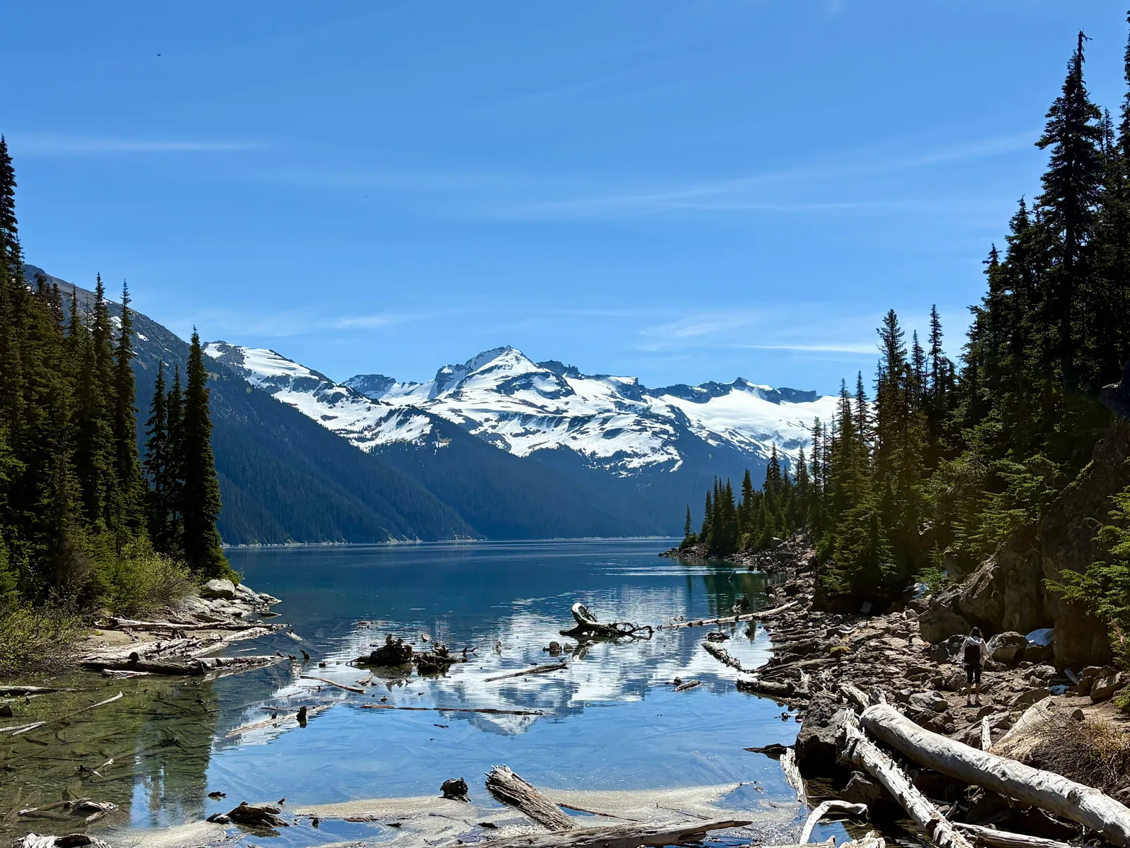 Driftwood-lined shoreline at Garibaldi Lake with snow-capped peaks reflected in the still water