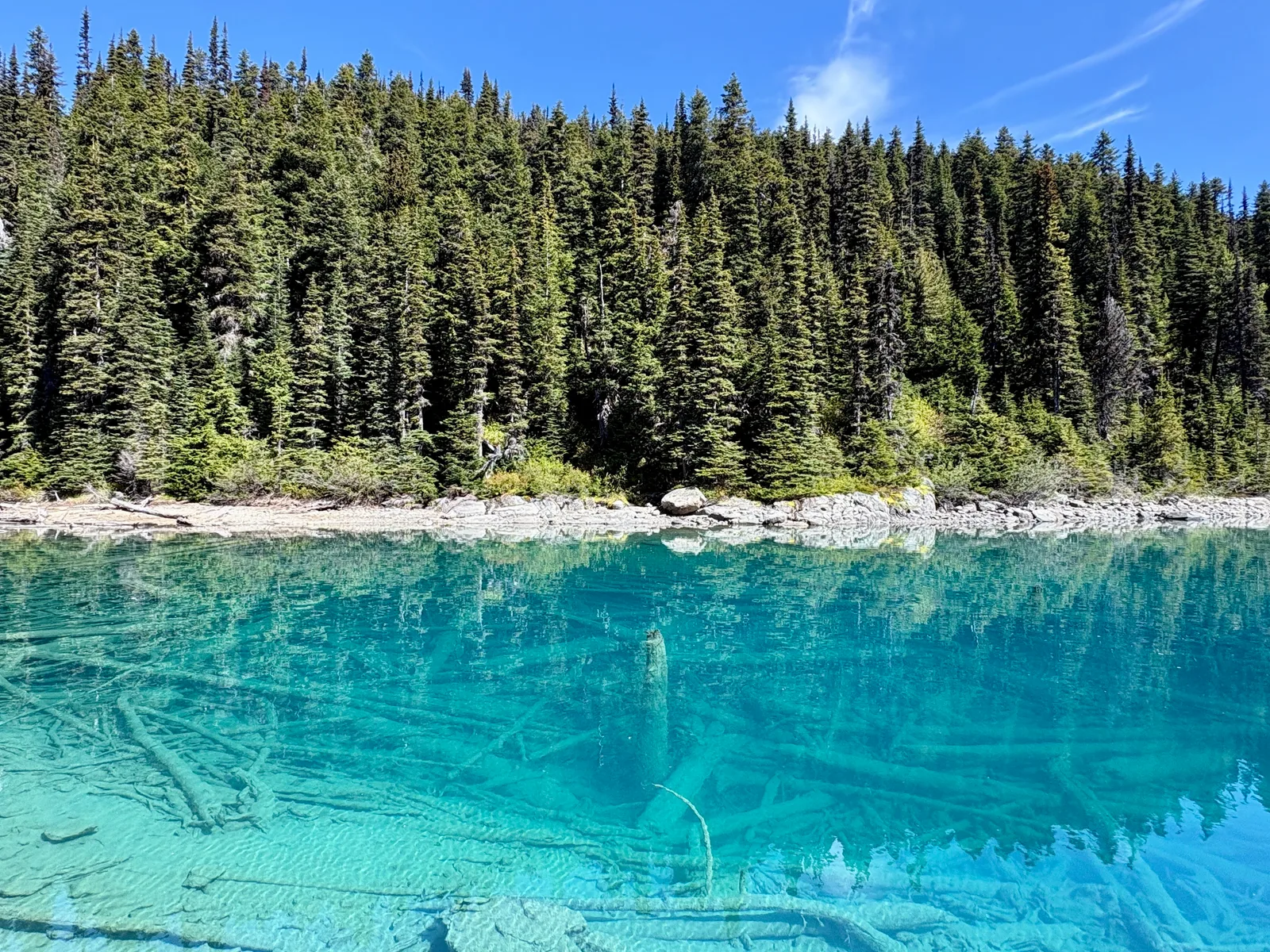 Garibaldi Lake: Beautiful at the Top, Repetitive to Get There