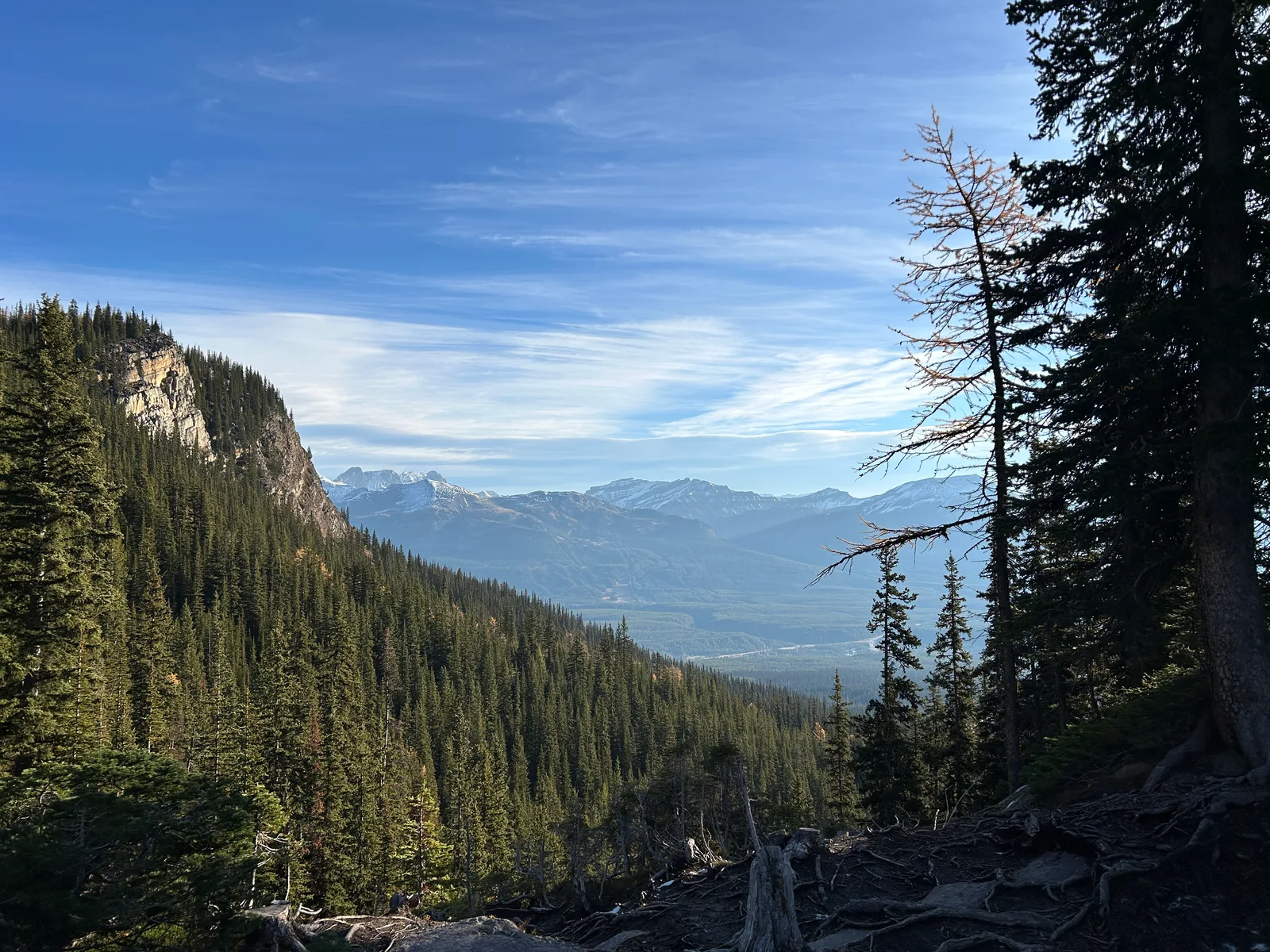 Open, exposed trail on the Little Beehive climb with a wide view down the forested valley to distant snow-capped peaks