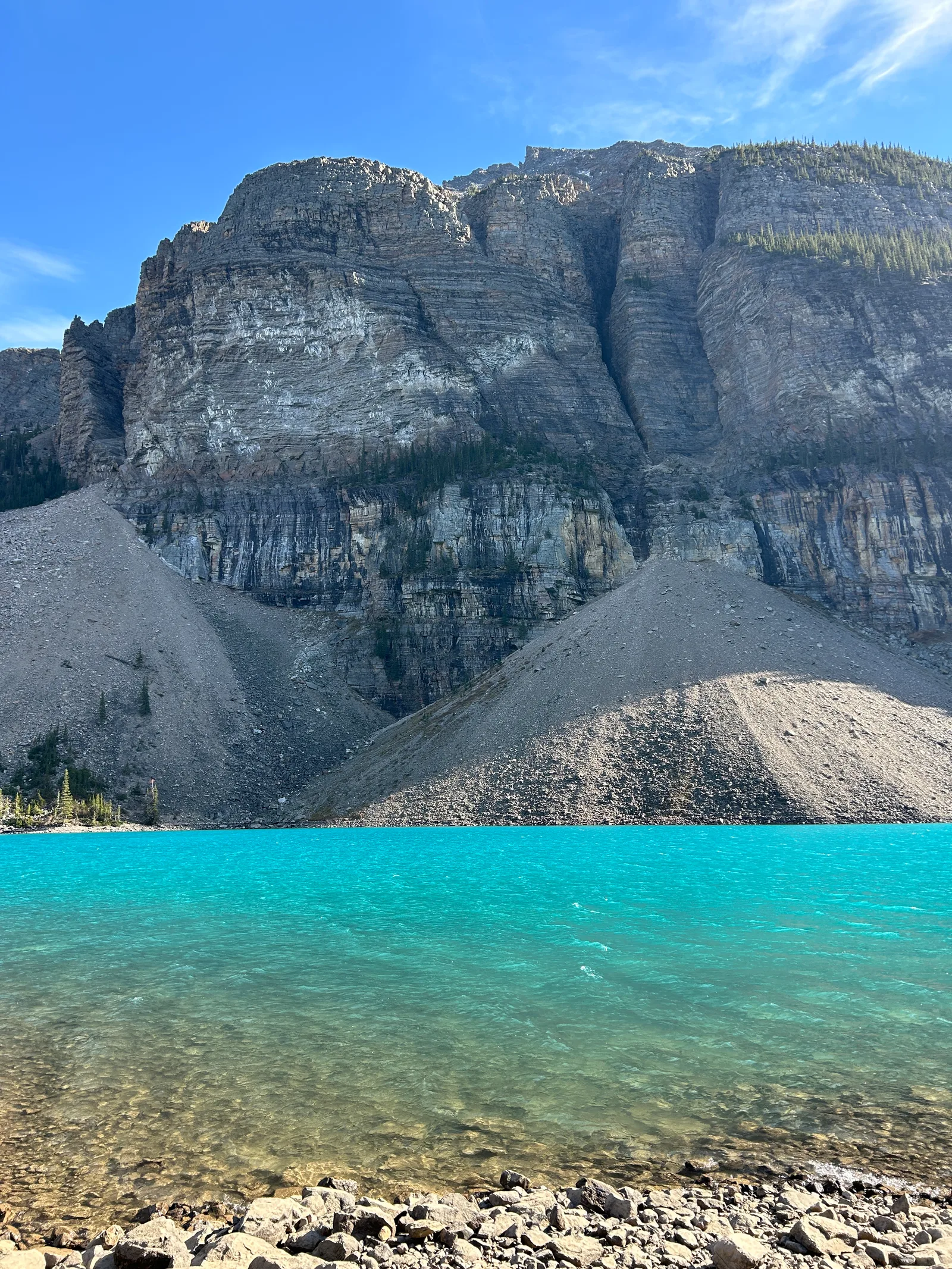 Steep, striated rock cliff dropping into the turquoise water of Moraine Lake, with a gravel scree slope and a small stand of pines at the shoreline